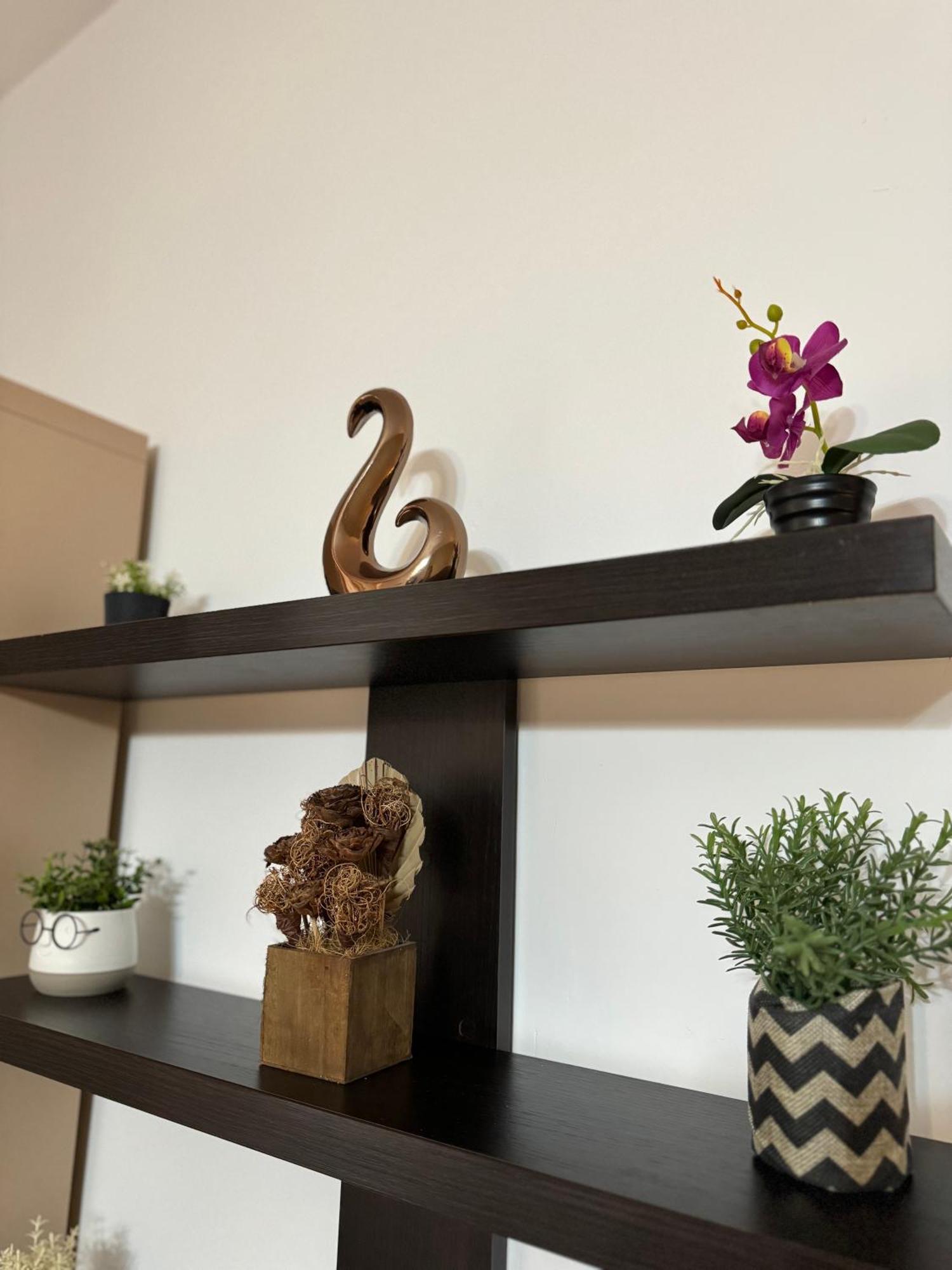 Ada'S Luxury Apartament&Studio - Old City 브라쇼브 외부 사진